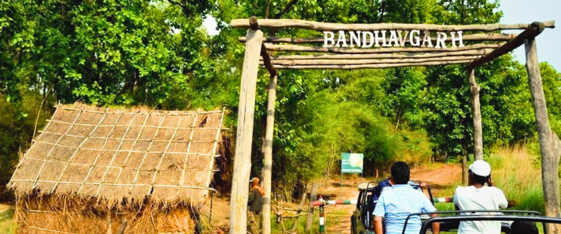 Bandhavgarh Safari Booking