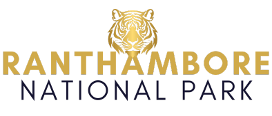 ranthambore national park tour packages