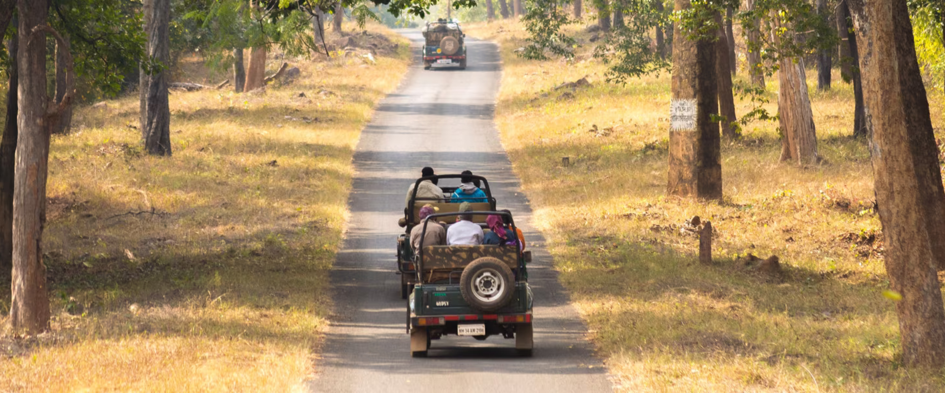 Tadoba Safari Booking