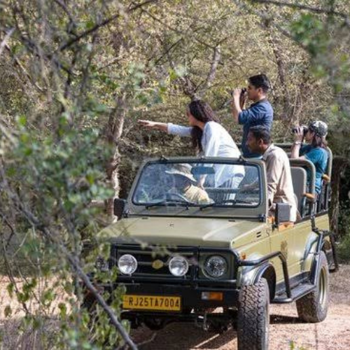 Luxury Jeep Safari Booking