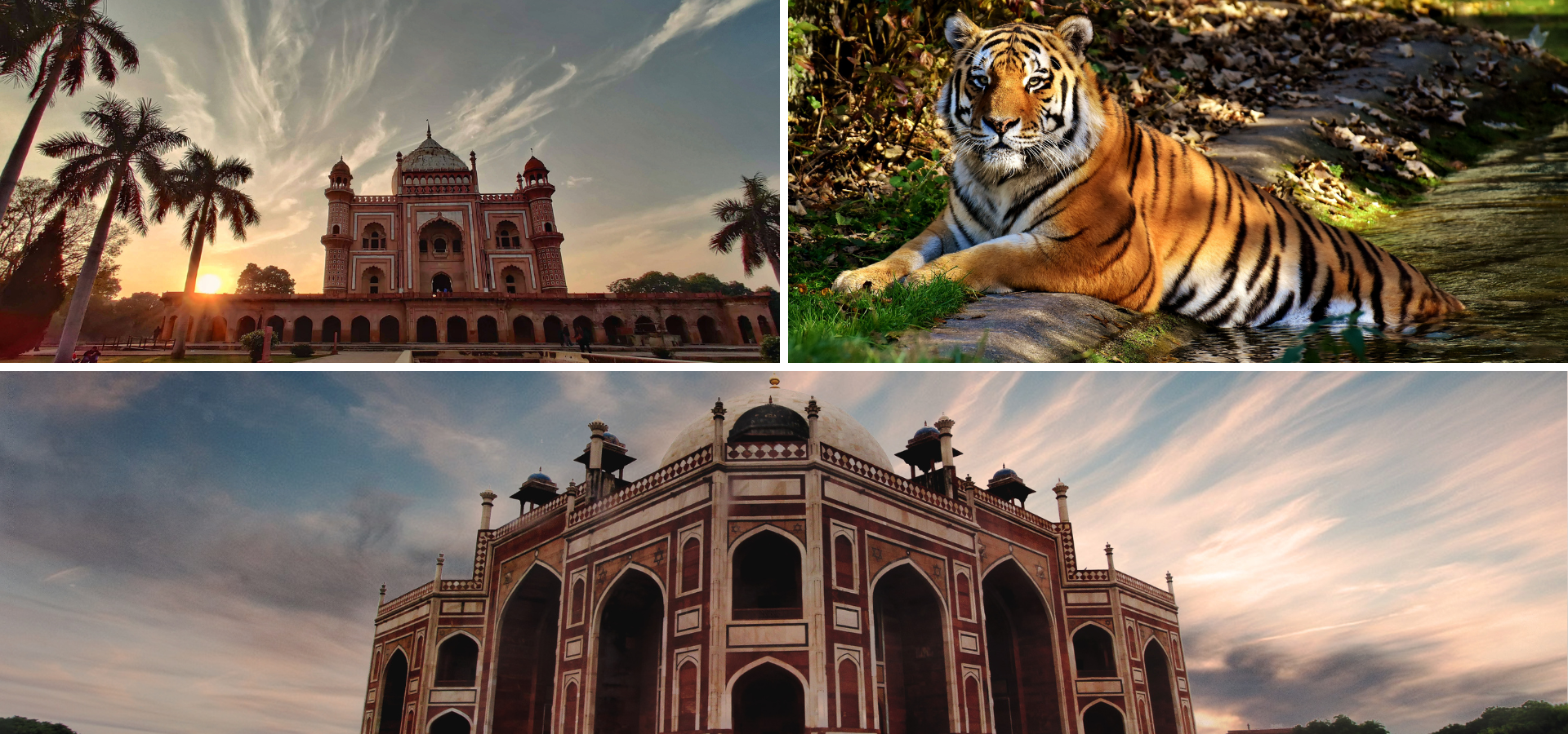 Ranthambore Special Tour Package